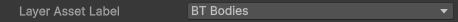 Layer Asset Label Field